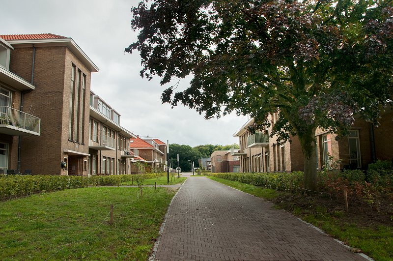 Project afbeelding 25